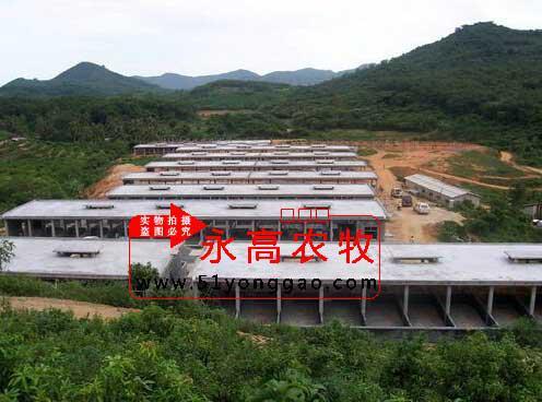 冬季养殖场猪舍防寒增温技术要领_养猪设备_永高农牧