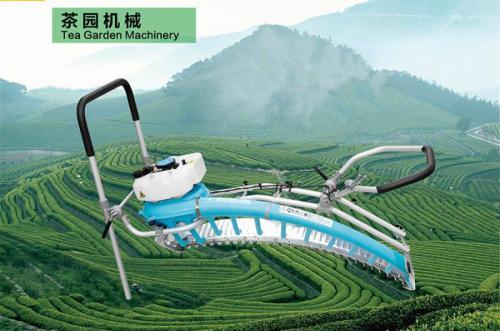 采茶机合理使用促增收