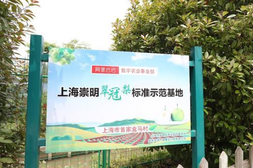 上海首个盒马村亮相：数十种高科技装备翠冠梨数字农业基地