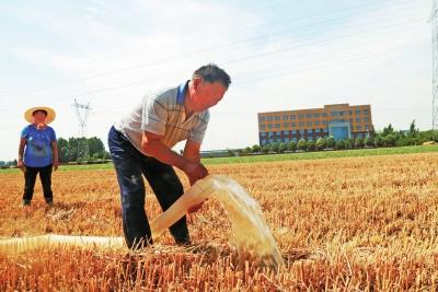 不误农时 抢收抢种
