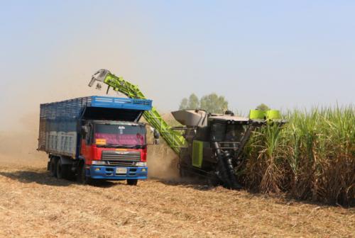 中联重科甘蔗收获机项目荣获安徽科学技术进步奖一等奖