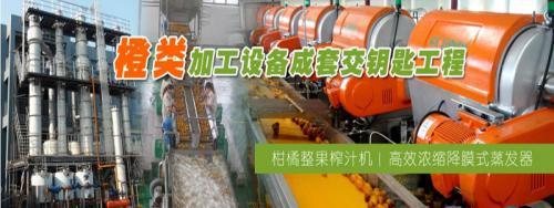 橙子加工设备 浓缩榨汁生产线机器
