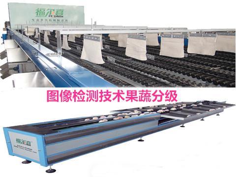 图像检测技术提升果蔬分级效率